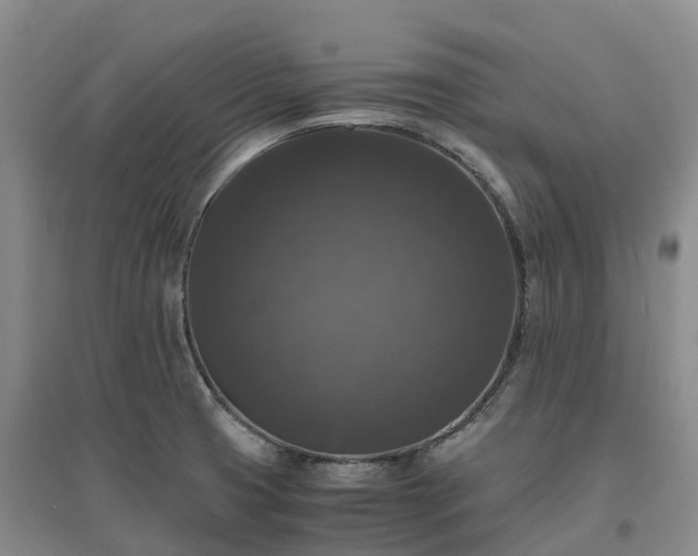 X0000097001425200802151404