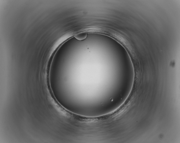 X0000097001426200802151404