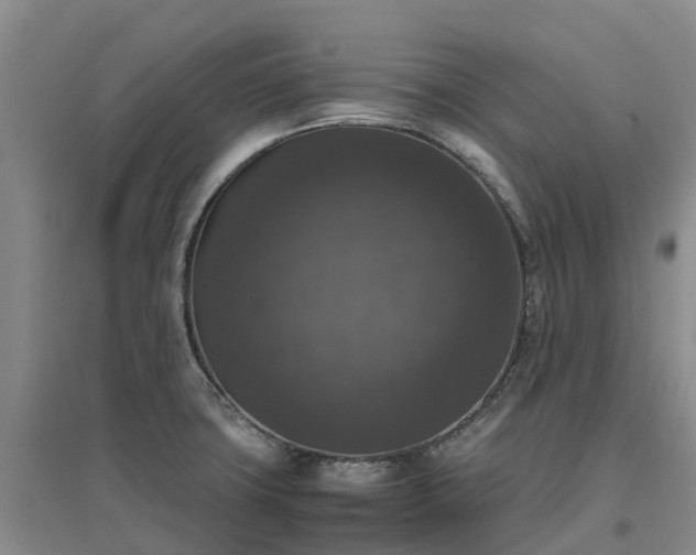 X0000097001427200802151404