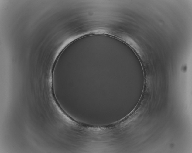 X0000097001428200802151404