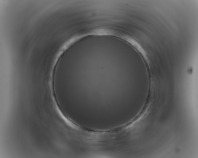 X0000097001429200802151404