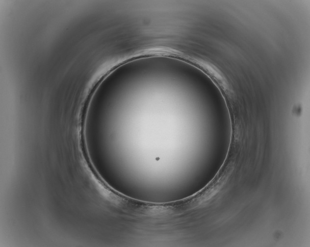 X0000097001430200802151404
