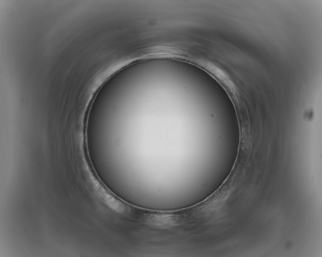 X0000097001431200802151404