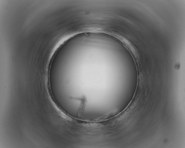 X0000097001432200802151404