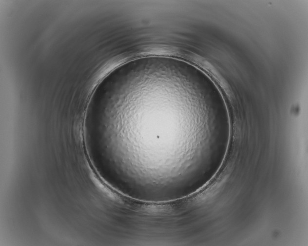 X0000097001433200802151404