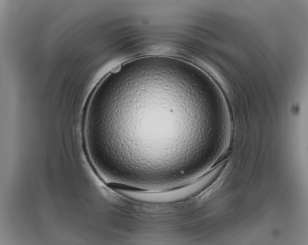 X0000097001434200802151404