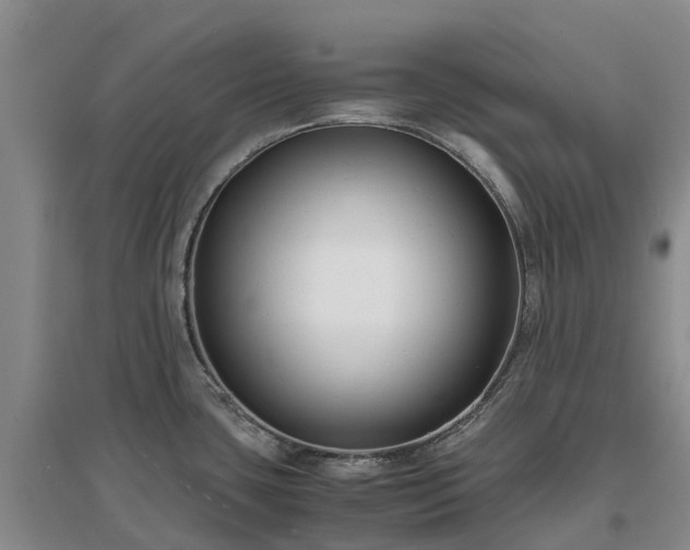 X0000097001435200802151404