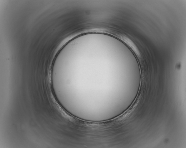 X0000097001436200802151404