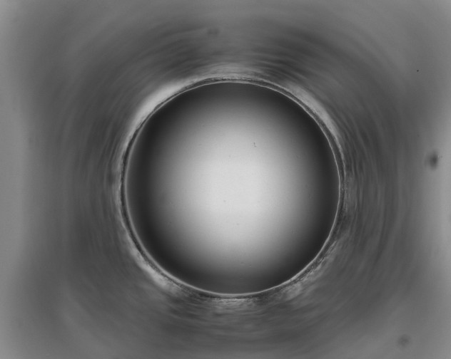 X0000097001437200802151404