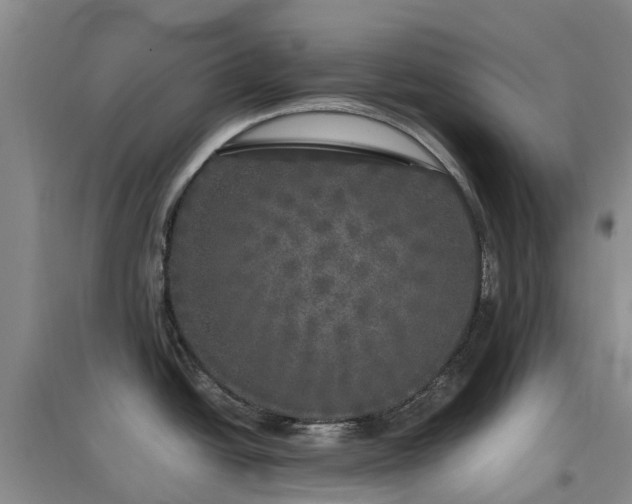 X0000097001438200802151404