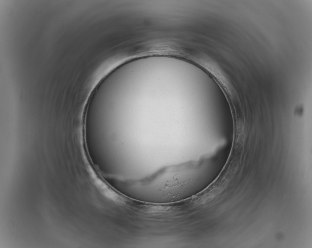 X0000097001439200802151404