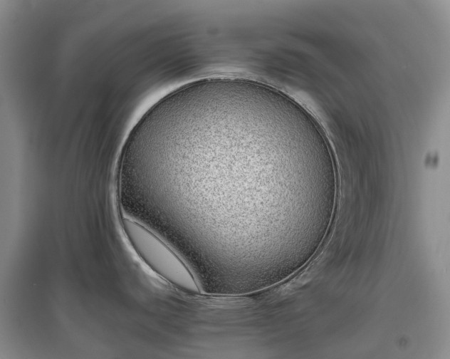 X0000097001440200802151404