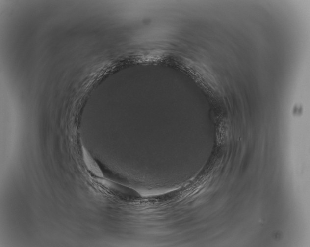 X0000097001441200802151404