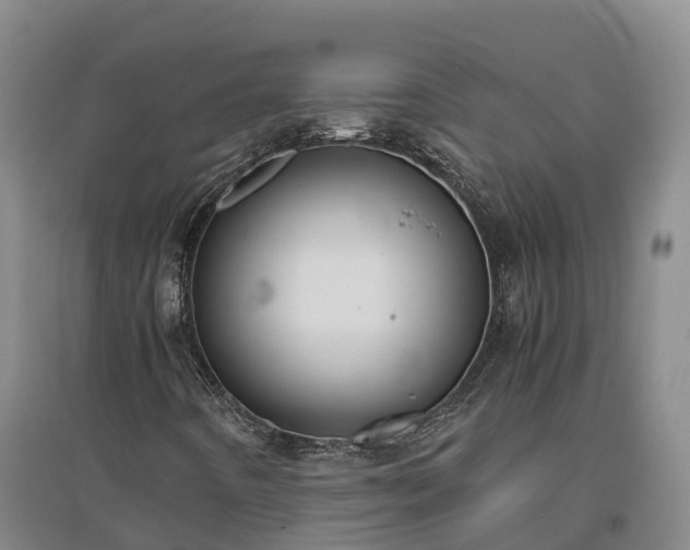 X0000097001442200802151404
