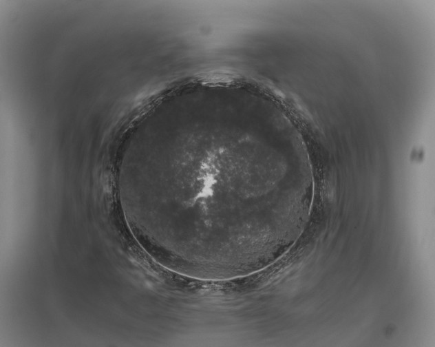 X0000097001445200802151404