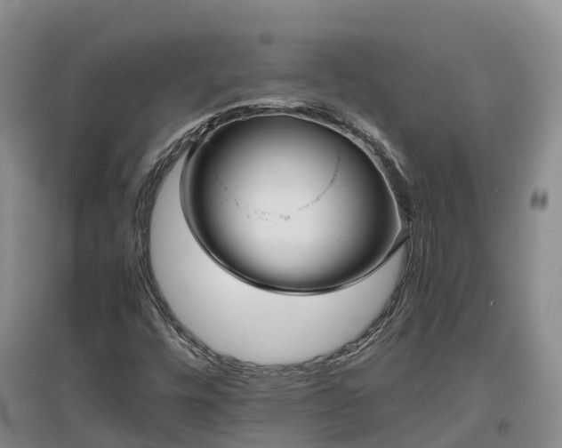 X0000097001448200802151404