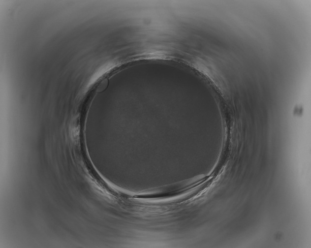 X0000097001450200802151404