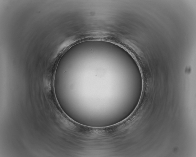 X0000097001451200802151404