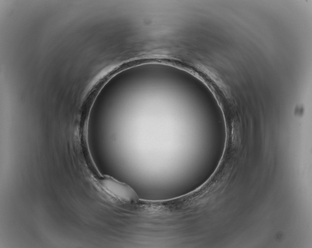 X0000097001452200802151404