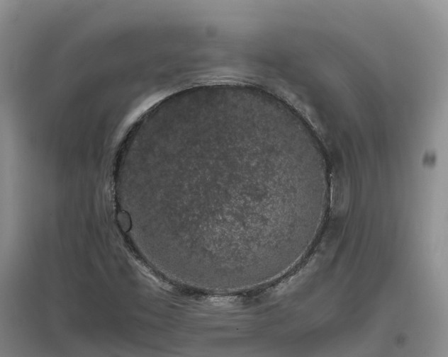 X0000097001453200802151404