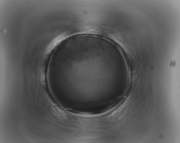 X0000097001455200802151404