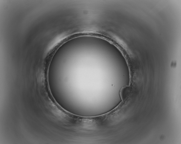 X0000097001456200802151404