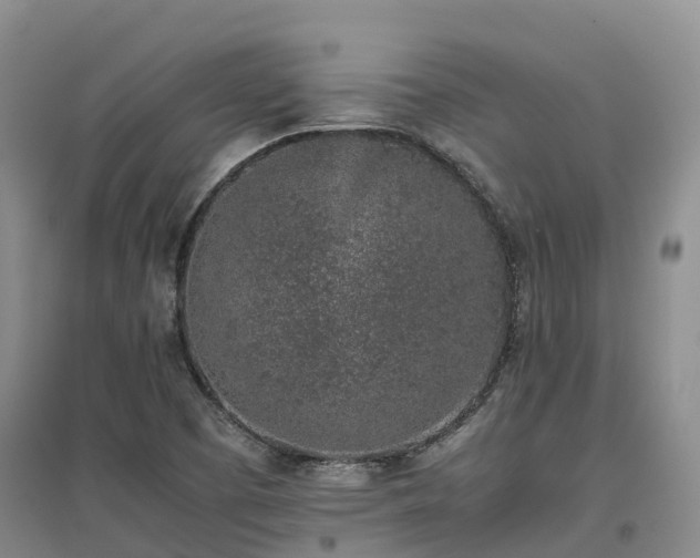 X0000097001457200802151404