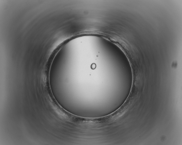 X0000097001458200802151404