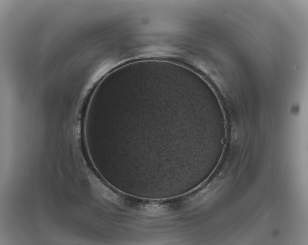 X0000097001459200802151404