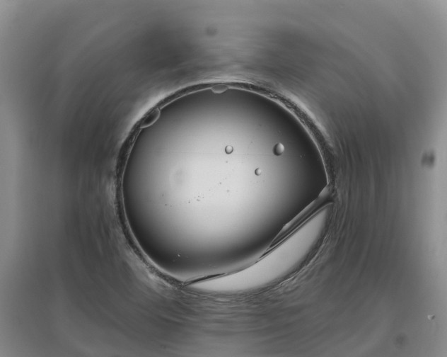 X0000097001460200802151404