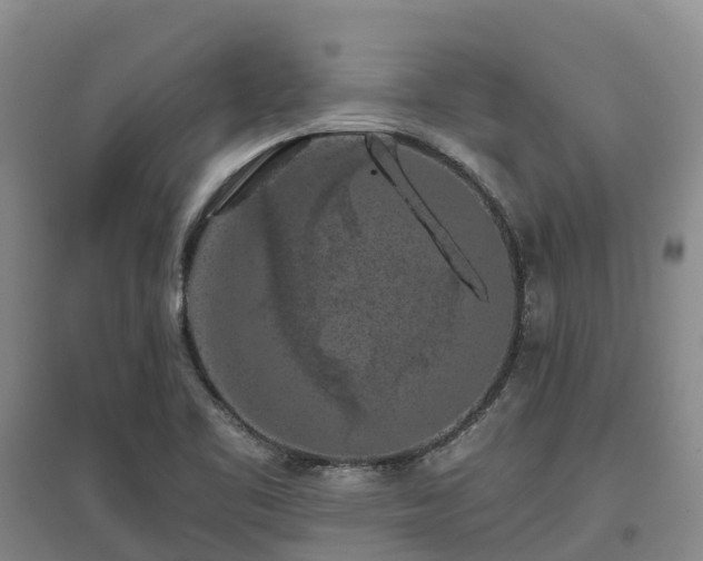 X0000097001461200802151404