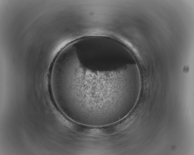 X0000097001463200802151404
