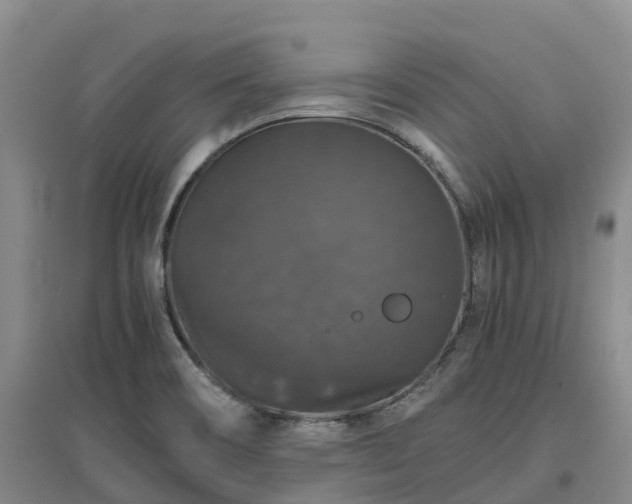 X0000097001466200802151403