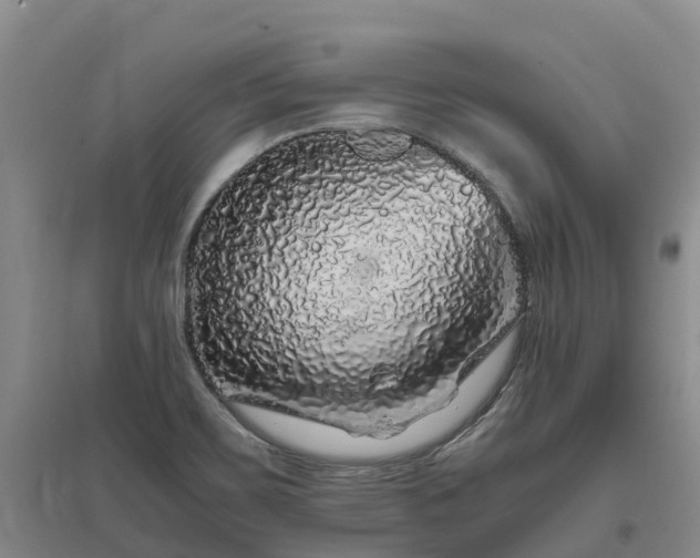 X0000097001467200802151403