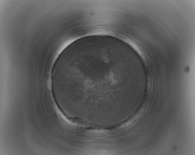 X0000097001468200802151403