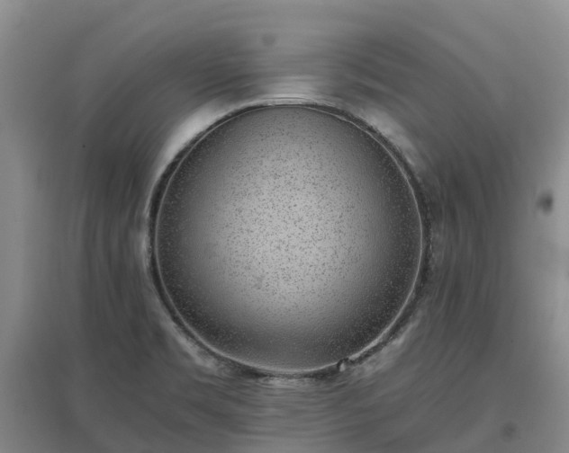 X0000097001469200802151403
