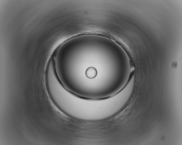 X0000097001471200802151403