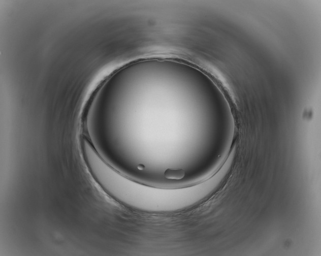 X0000097001472200802151403