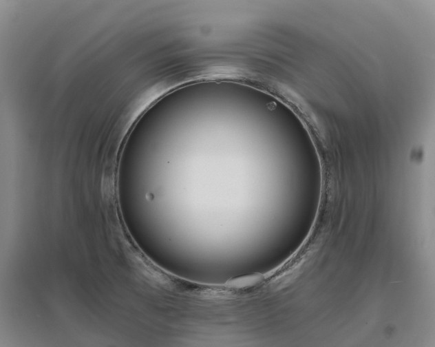 X0000097001473200802151403