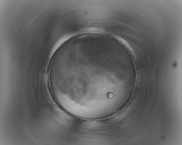 X0000097001474200802151403