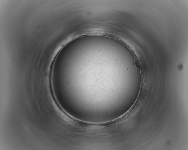 X0000097001475200802151403