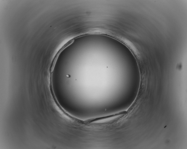 X0000097001476200802151403
