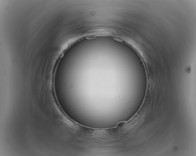 X0000097001477200802151403
