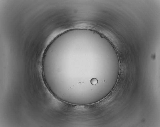 X0000097001478200802151403