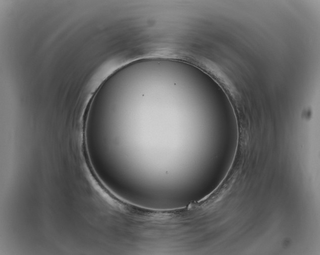 X0000097001479200802151403