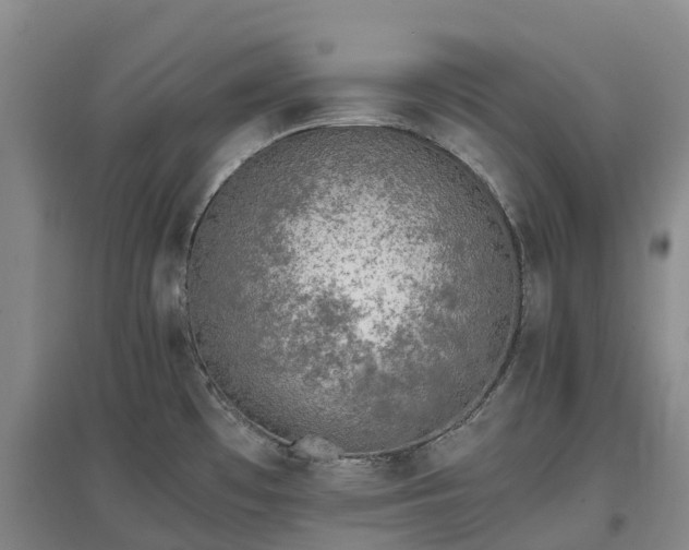X0000097001481200802151403