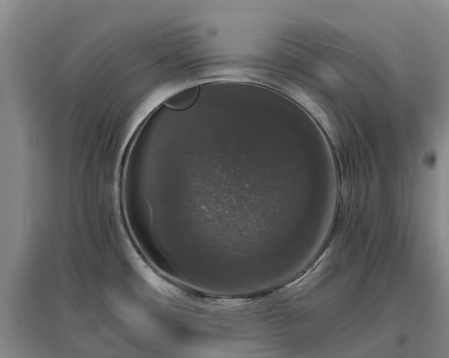 X0000097001482200802151403