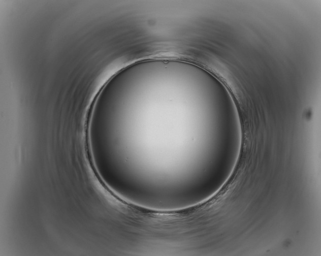 X0000097001483200802151403
