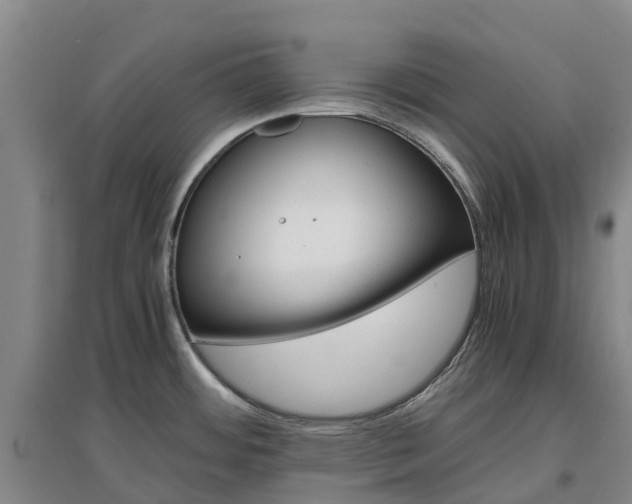 X0000097001484200802151403