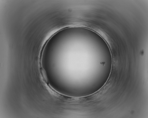 X0000097001485200802151403